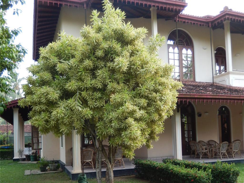 Villa Ranmenika أهونغالا المظهر الخارجي الصورة